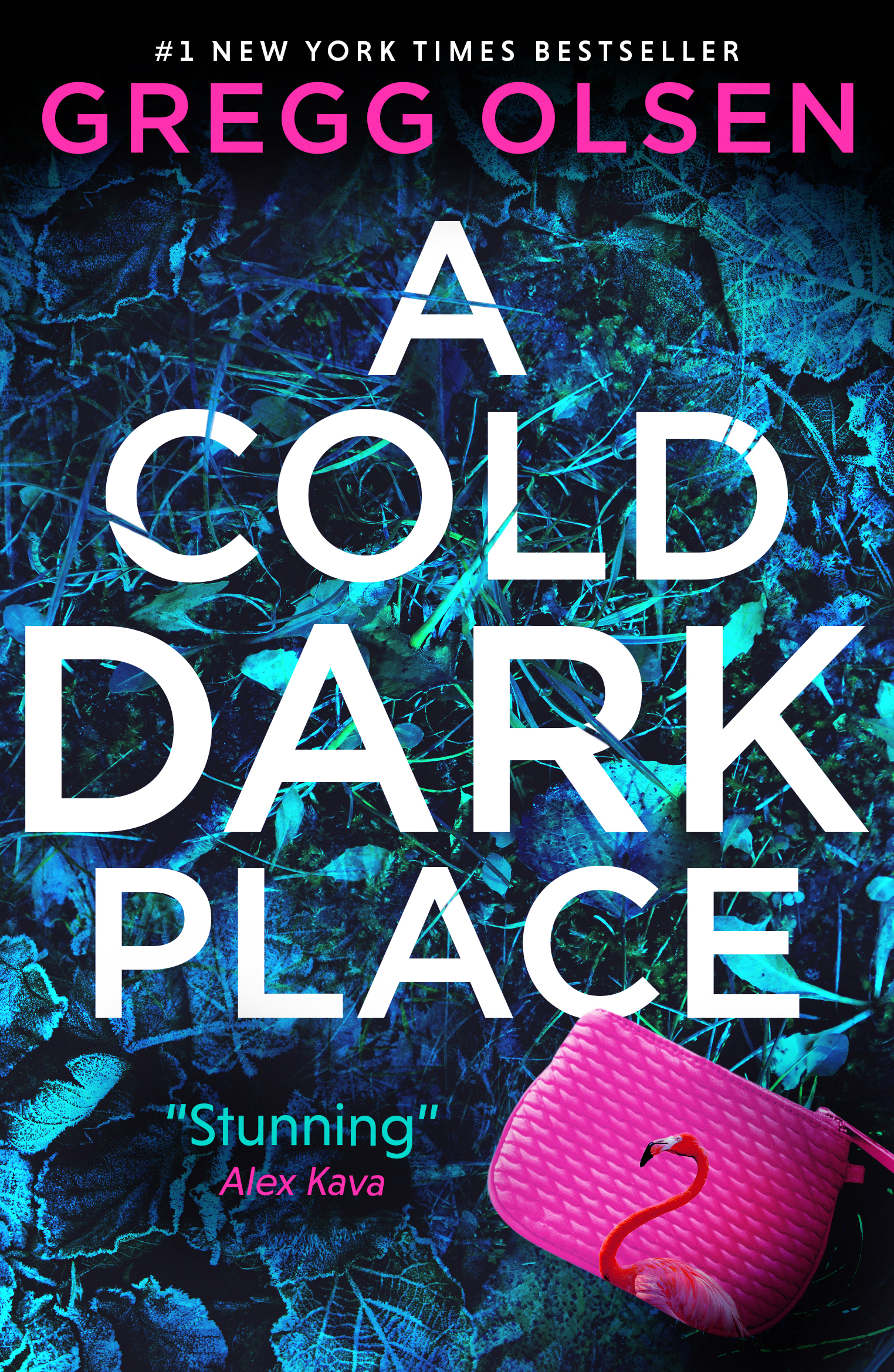 A Cold Dark Place