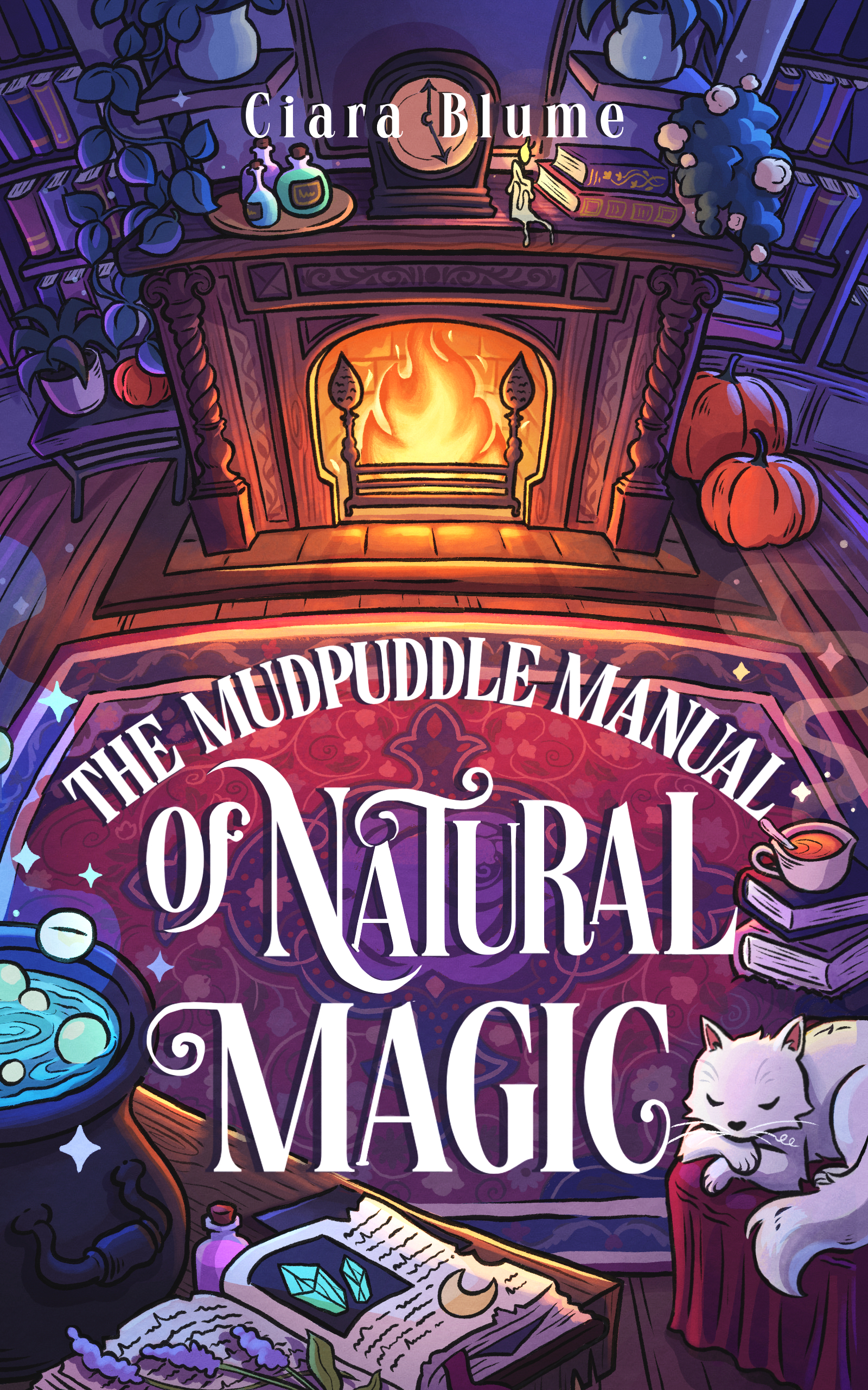 The Mudpuddle Manual of Natural Magic by Ciara Blume