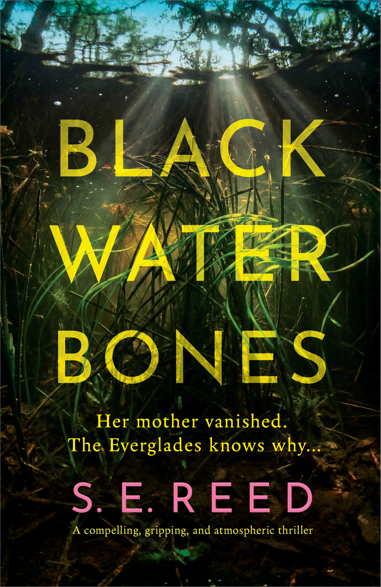 Black Water Bones by SE Reed