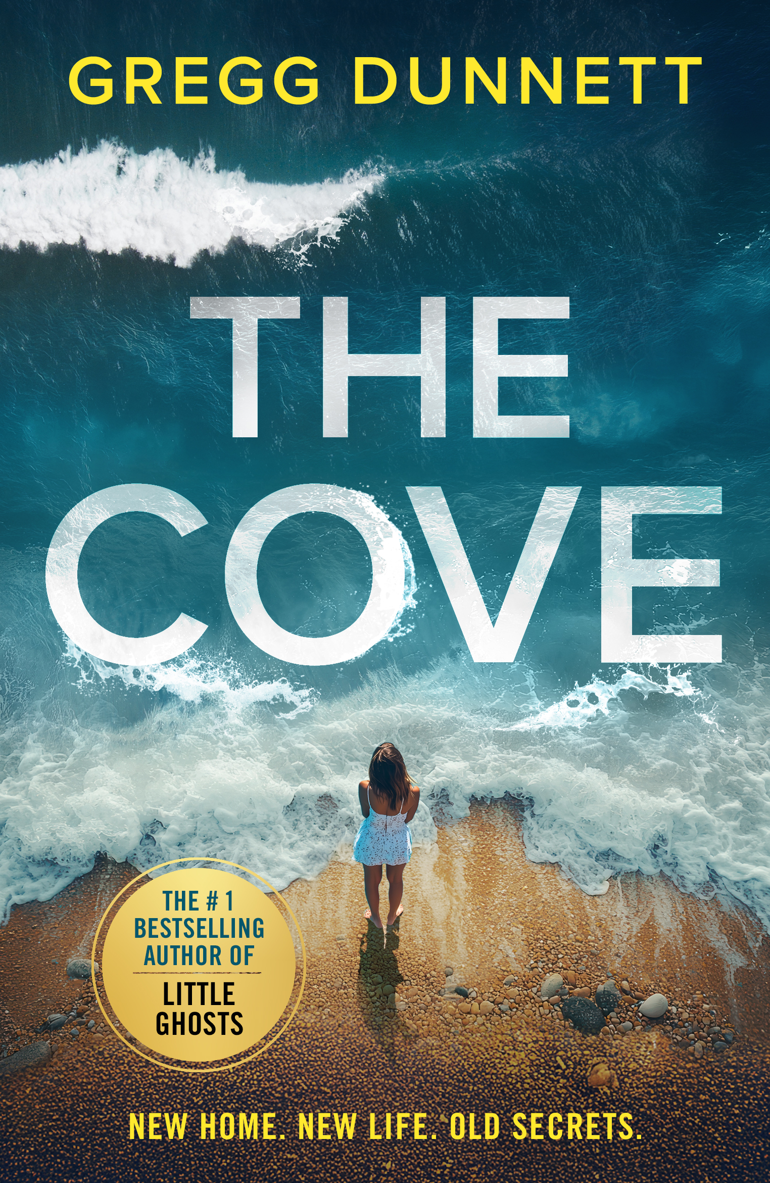 The Cove by Gregg Dunnett NEW